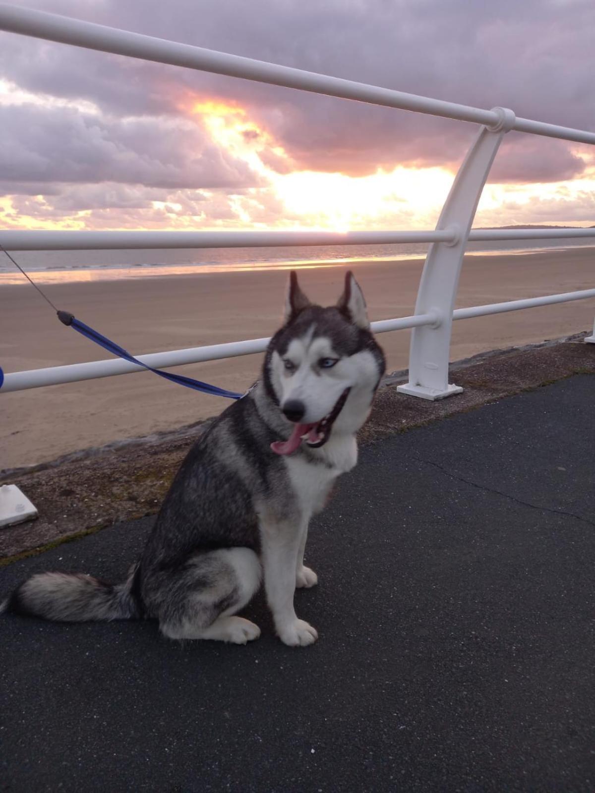 פורט טלבוט Driftmark Beachfront Location Aberavon Beach Sea Views Large Driveway Parking Private Site Fibre Optic Wi Fi מראה חיצוני תמונה